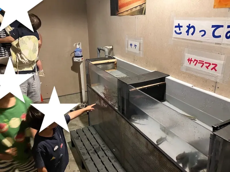 タッチプール