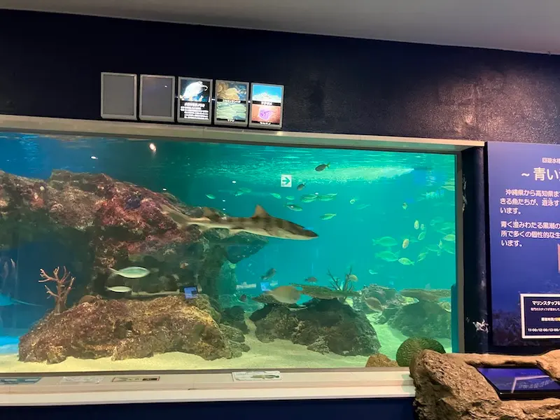 サンピアザ水族館