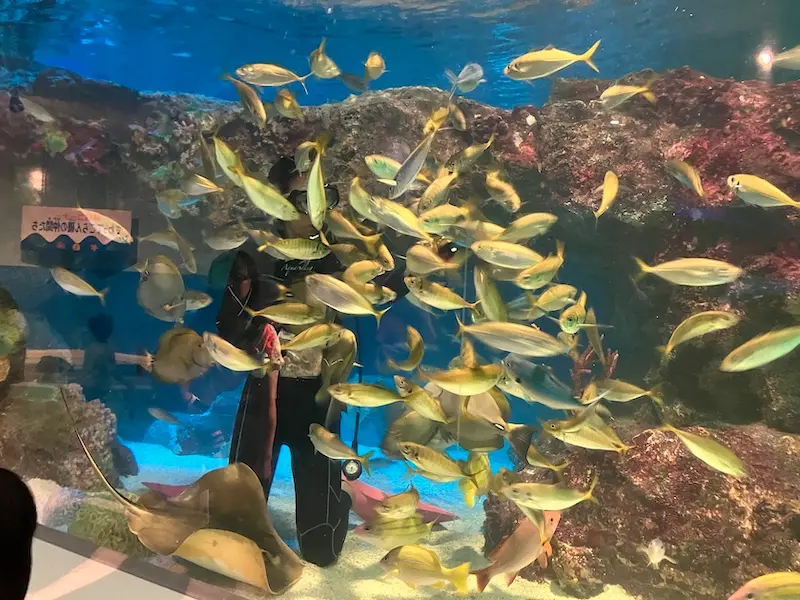 サンピアザ水族館